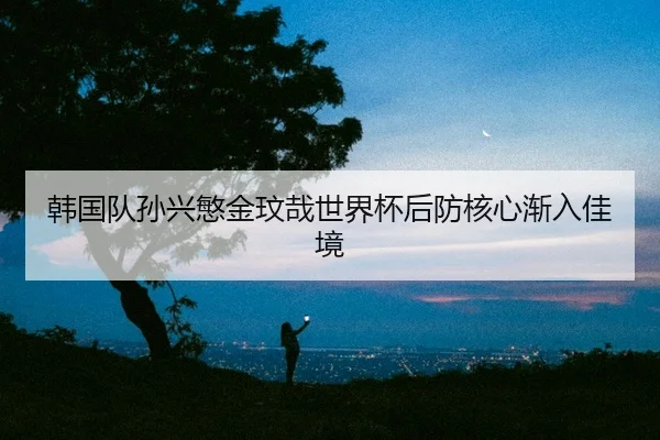 han-guo-dui-sun-xing-min-jin-wen-zai-shi-jie-bei-hou-fang-he-xin-jian-ru-jia-jing-2-762.jpg