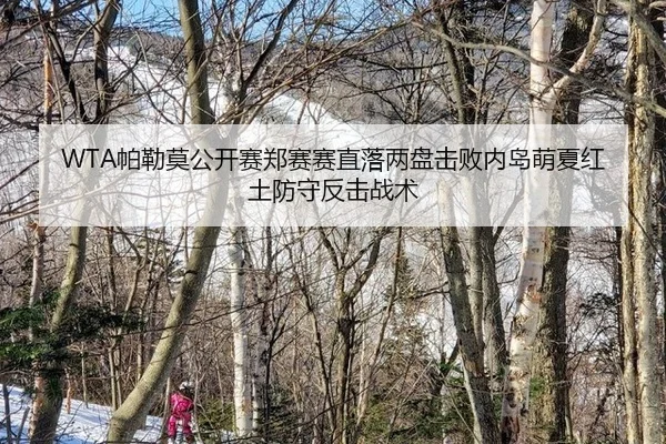 WTA帕勒莫公开赛郑赛赛直落两盘击败内岛萌夏红土防守反击战术